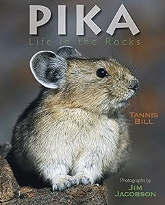 Pika: Life in the Rocks by Tannis Bill
