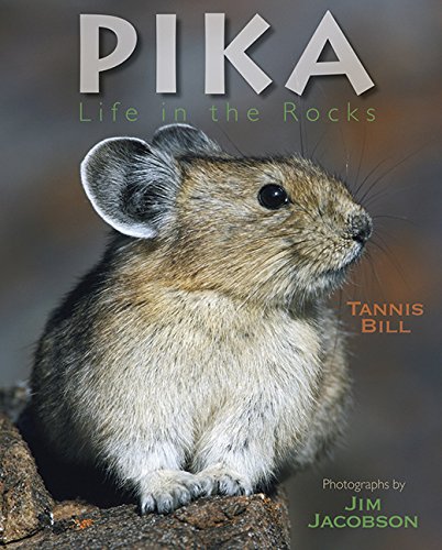 Pika: Life in the Rocks by Tannis Bill
