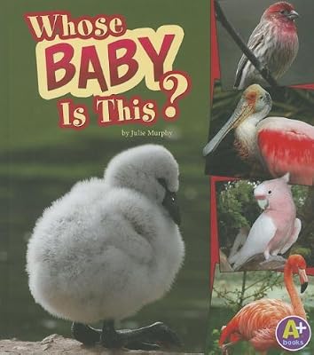 Whose Baby Is This? (Nature Starts)