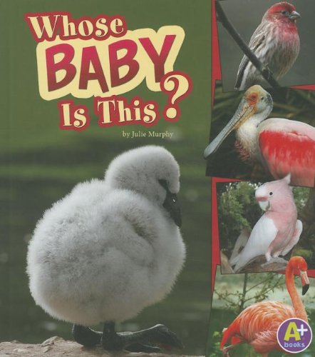 Whose Baby Is This? (Nature Starts) by Julie Murphy