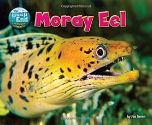 Moray Eel