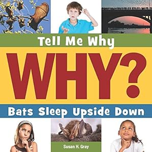 Bats Sleep Upside Down