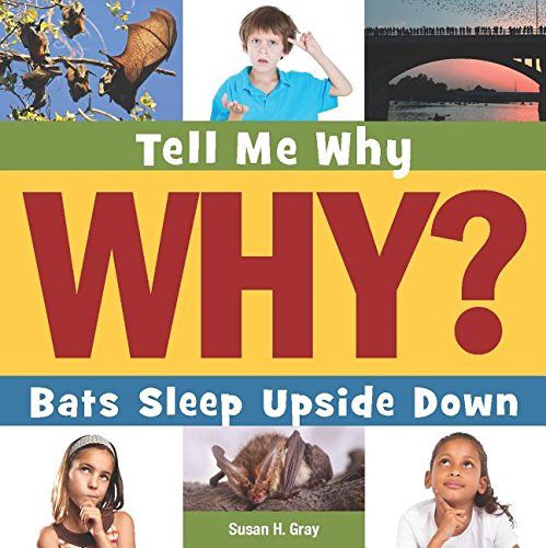 Bats Sleep Upside Down by Susan Heinrichs Gray