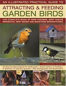 Attracting & Feeding Garden Birds (Illustrated Practical Guide) by Jen Green