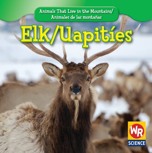 Elk/ Uapities by JoAnn Early Macken