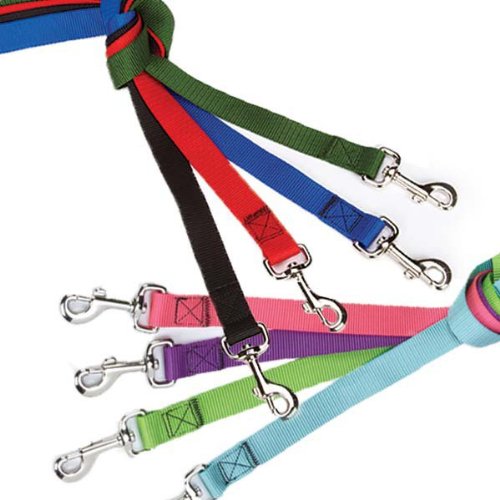 Guardian Gear Nylon Dog Lead with Nickel Plated Swivel Snaps, 5/8-Inch, Red