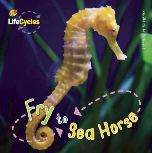Fry to Seahorse by Camilla de la Bedoyere