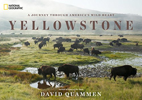 Yellowstone: A Journey Through America's Wild Heart by David Quammen