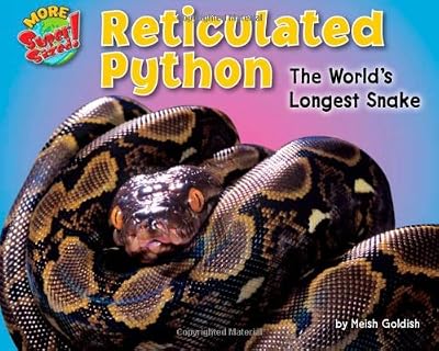 Reticulated Python: The World's Longest Snake