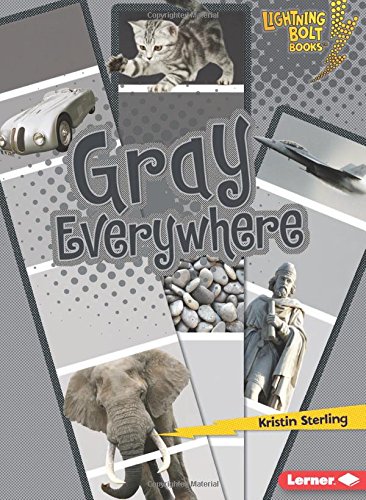 Gray Everywhere (Lightning Bolt Books) (Lightning Bolt Books: Colors Everywhere (Library))