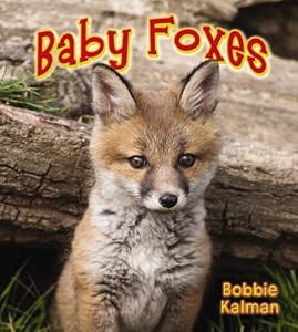 Baby Foxes (It's Fun to Learn about Baby Animals)