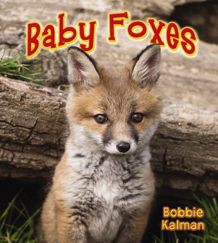 Baby Foxes (It's Fun to Learn about Baby Animals) by Bobbie Kalman