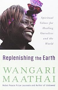 Replenishing the Earth: Spiritual Values for Healing Ourselves and the World