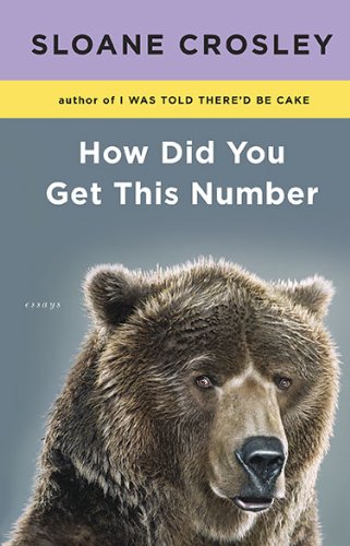 How did you get this number by Sloane Crosley