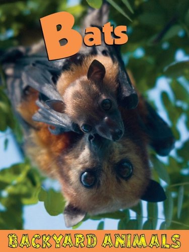 Bats by Annalise Bekkering