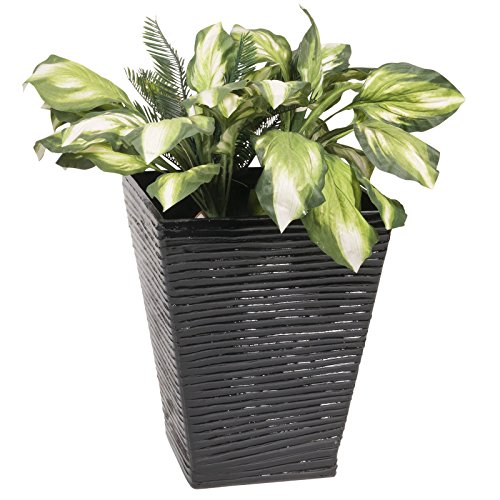 Algopix Similar Product 11 -