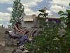 Tell It to the Frogs [2010 The Walking Dead TV Episode]