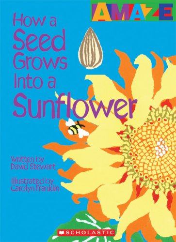 How a Seed Grows Into a Sunflower (Amaze) by David Stewart