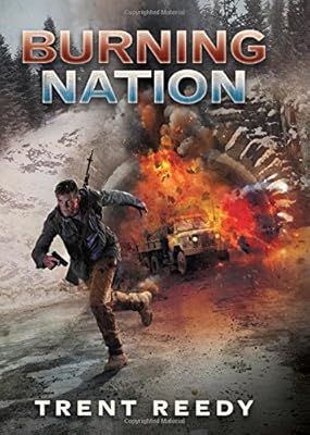 Divided We Fall Book 2: Burning Nation