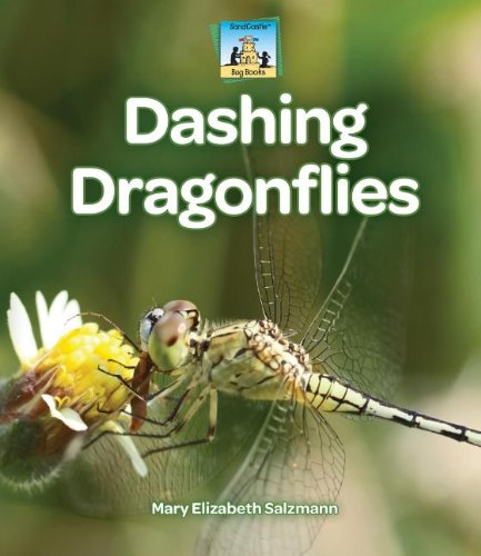 Dashing Dragonflies by Mary Elizabeth Salzmann