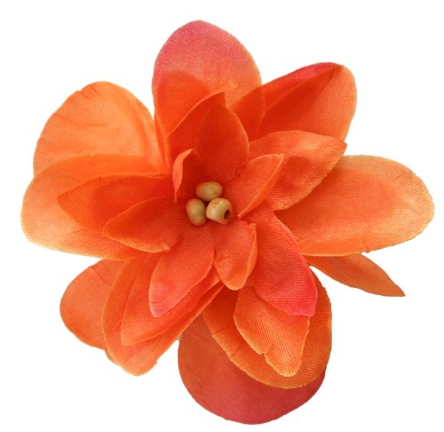 Algopix Similar Product 8 - Cuteque International Inc 6 pieces of