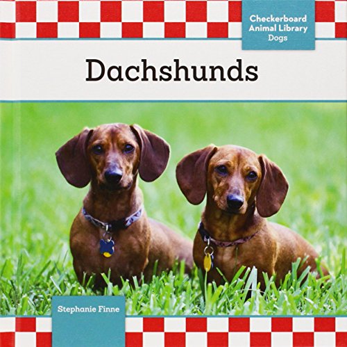 Dachshunds by Stephanie Finne