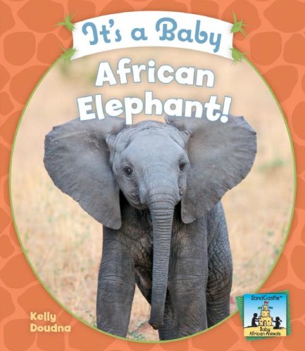 It's a Baby African Elephant! (Sandcastle: Baby African Animals) by Kelly Doudna