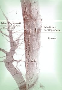Mysticism for Beginners: Poems