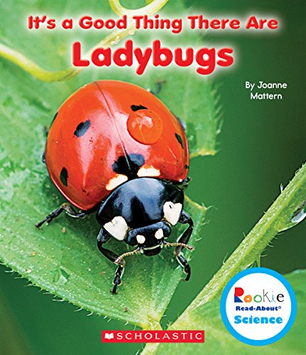 It's a Good Thing There Are Ladybugs by Joanne Mattern