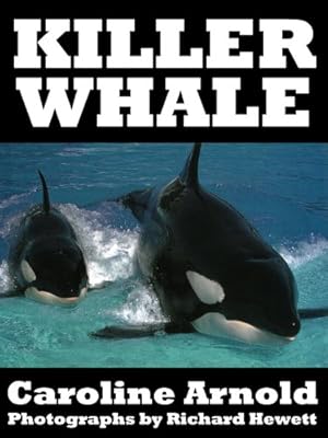 KILLER WHALE