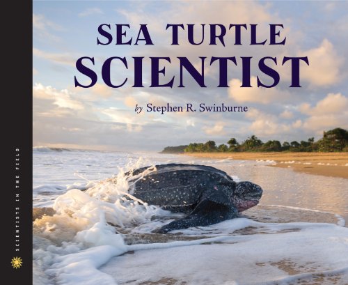 Sea Turtle Scientist by Stephen R. Swinburne