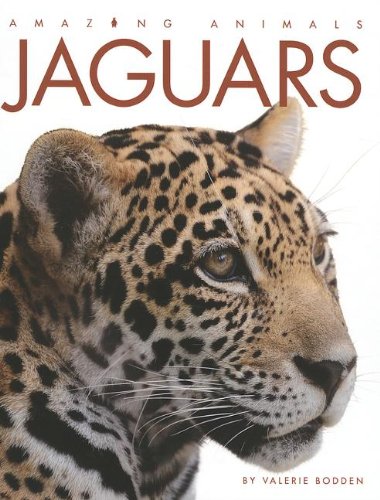 Jaguars by Valerie Bodden