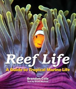 Reef Life: A Guide to Tropical Marine Life by Brandon Cole