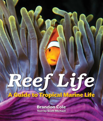 Reef Life: A Guide to Tropical Marine Life by Brandon Cole
