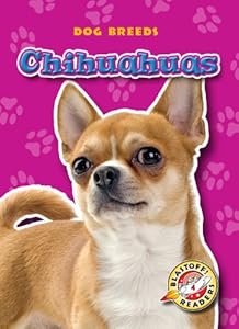 Chihuahuas