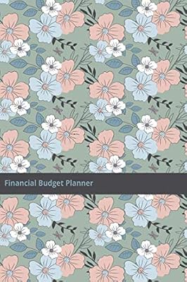 Financial Budget Planner: The Solution to Maintaining a Budget is Awareness: Undated Budget Planner 145 Pages, Financial Overview, Monthly Budget, Weekly Budget 6x9 Inches, Matte.