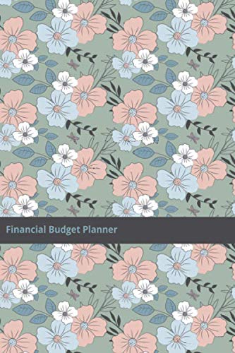 Financial Budget Planner: The Solution to Maintaining a Budget is Awareness: Undated Budget Planner 145 Pages, Financial Overview, Monthly Budget, Weekly Budget 6x9 Inches, Matte. by The Bubble Press