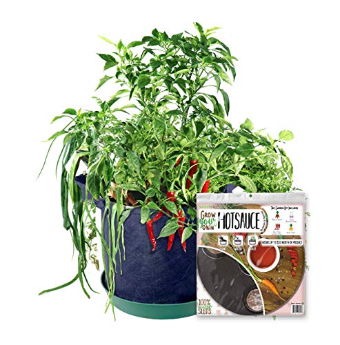 Algopix Similar Product 7 - Grow Your Own Hot Sauce Container