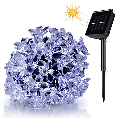 Solar Little Christmas Trees