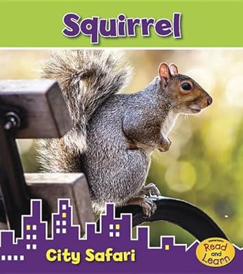 Squirrel: City Safari