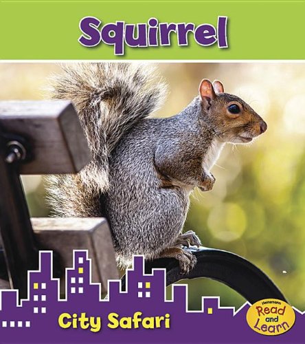 Squirrel: City Safari by Isabel Thomas