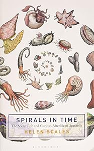 The Spirals in Time: The Secret Life and Curious Afterlife of Seashells