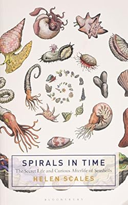 The Spirals in Time: The Secret Life and Curious Afterlife of Seashells