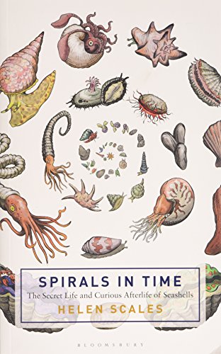 The Spirals in Time: The Secret Life and Curious Afterlife of Seashells by Helen Scales