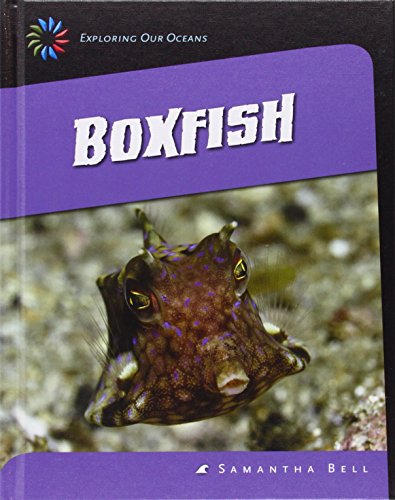 Boxfish by Samantha Bell