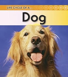 dog (revised edition)-91reading就要读英文