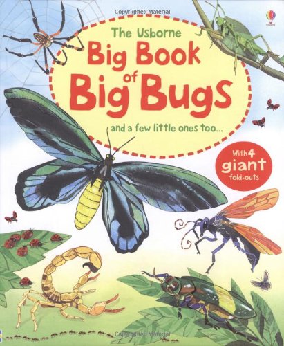 Big Book of Big Bugs (Usborne Big Book of Big Things) by Emily Bone