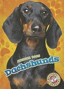 Dachshunds