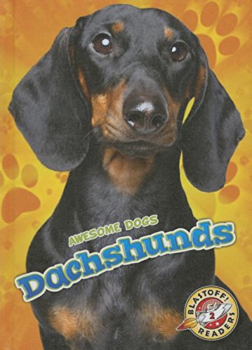 Dachshunds by Mari C. Schuh