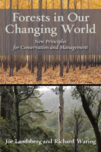 Forests in Our Changing World: New Principles for Conservation and Management by J  J Landsberg